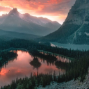 doctorfatesstudent avatar