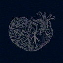 doctorlovepod avatar