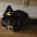 doctorone1000 avatar