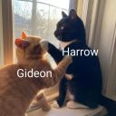 doctorskelegoats avatar