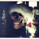 doctorstopcryingomfg-blog avatar