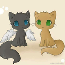 doctorwhoforever11 avatar