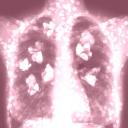 doctrineofdelight avatar