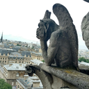 dodgethetarotnocarrot avatar