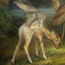 doe-hearted-nymph avatar