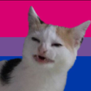 doesntgiveafck avatar