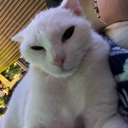 doespassthebechdeltest avatar