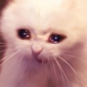 dog-appreciator avatar