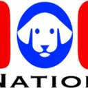 dog-nation avatar