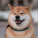 doge avatar