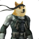 doge-shibe avatar