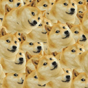 doge-world avatar