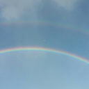 dogearred-disaster avatar