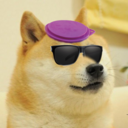 dogf0odlid avatar