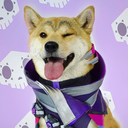 doggo-dealer avatar