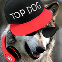 doggoagogo avatar