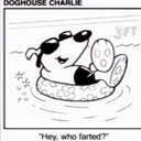 doghousecharlie avatar