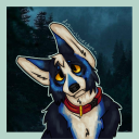 doginurbloodstream avatar