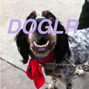 doglr avatar