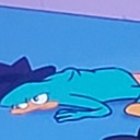 dognamedsunkist avatar