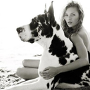 dogs-and-love-blog avatar