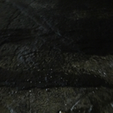 dogs-of-society avatar