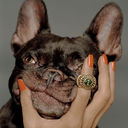 dogsandthings-blog-blog avatar