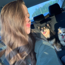 dogsarereallygood avatar