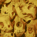 dogskulls avatar