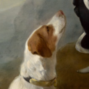 dogslookingatpeopleinpaintings avatar