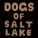 dogsofsaltlake avatar