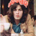 dogsonthewing avatar