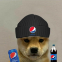 dogswithbeverages avatar