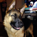 doguinhaberry avatar