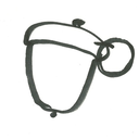 dogvssquirrel avatar