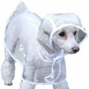 dogwearingatransparentraincoat avatar