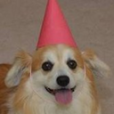 dogwithhat avatar