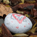 doingitfortheexposure avatar