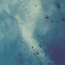 doitlikeyouwant avatar