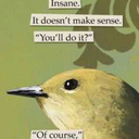 dolceaffetuoso avatar