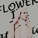 dollangangere avatar