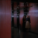 dollforaugustmoon avatar