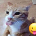 dolliestfairy avatar