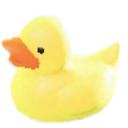 dollycrossing avatar