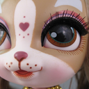 dollynest-blog-blog avatar