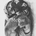 dolordulcis-blog avatar