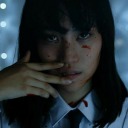 dolphin-in-the-glaze avatar