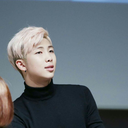 dolphin-prince avatar