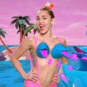 dolphin-titties avatar