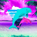 dolphinclouds avatar